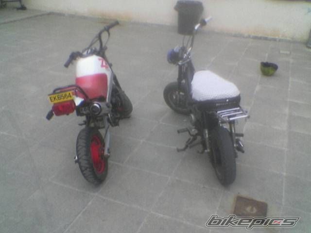 2006 HONDA CHALY | Picture 740439 motorcycle photo