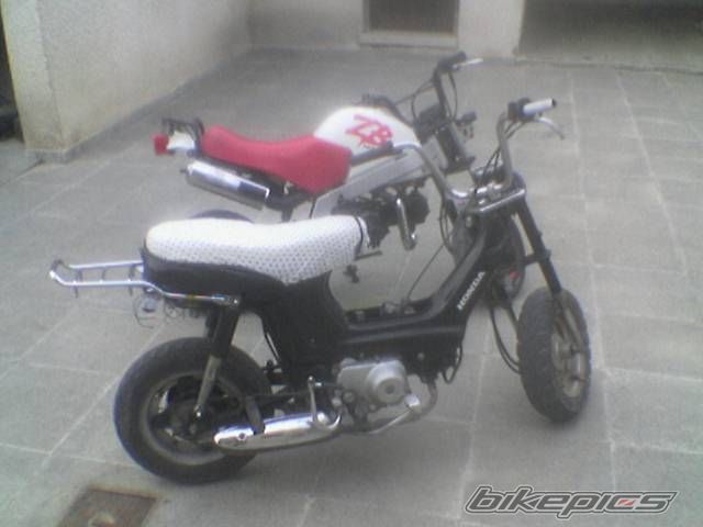 2006 HONDA CHALY | Picture 740442 motorcycle photo