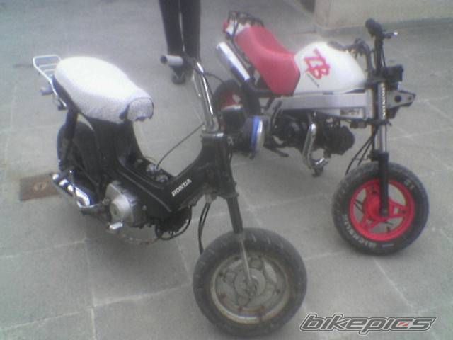 2006 HONDA CHALY | Picture 740443 motorcycle photo
