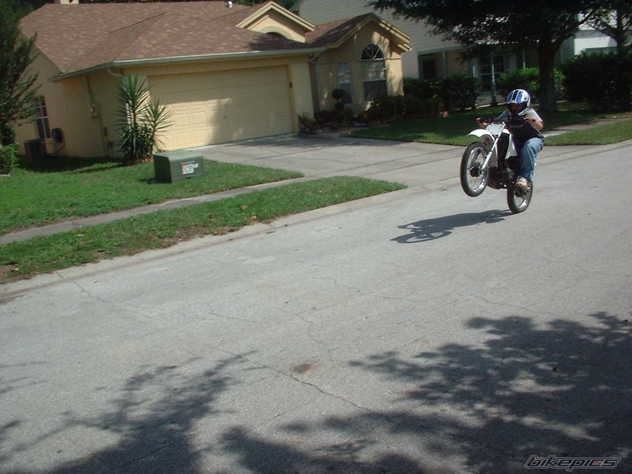 1997 YAMAHA RT 100 | Picture 74138 motorcycle photo