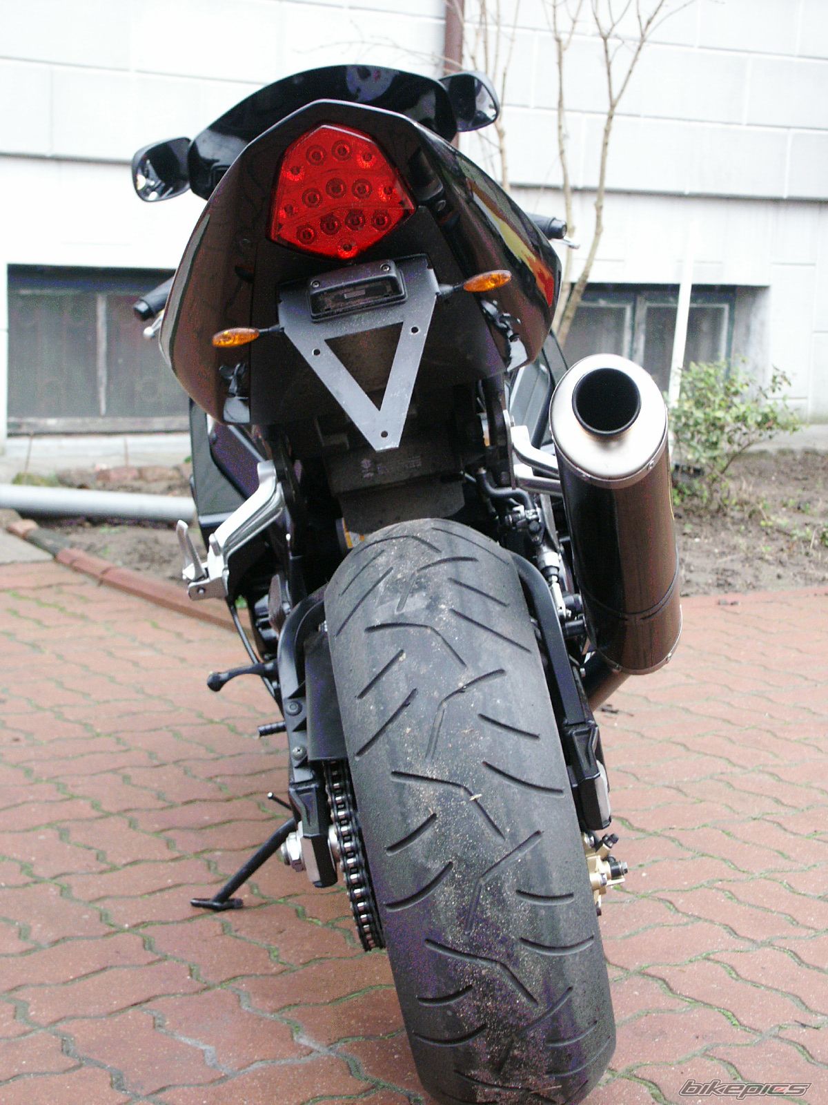 2004 SUZUKI GSX R 1000 | Picture 741844 motorcycle photo