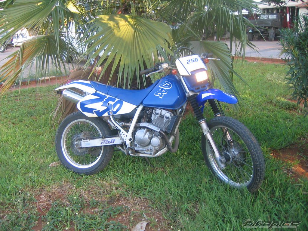 2005 YAMAHA DT 250 | Picture 742418 motorcycle photo