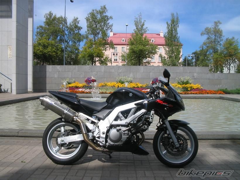 2004 SUZUKI SV 650S | Picture 742558 motorcycle photo