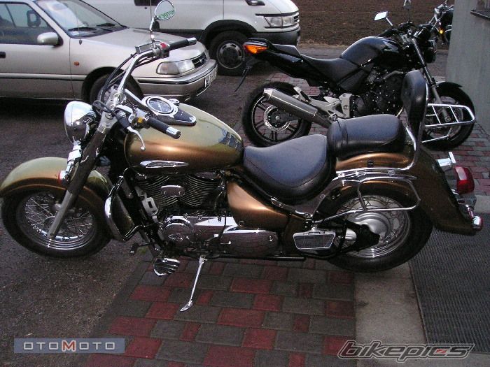 2001 SUZUKI VOLUSIA | Picture 742645 motorcycle photo