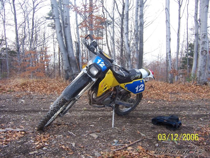 1993 HUSABERG FE 501 | Picture 742756 motorcycle photo