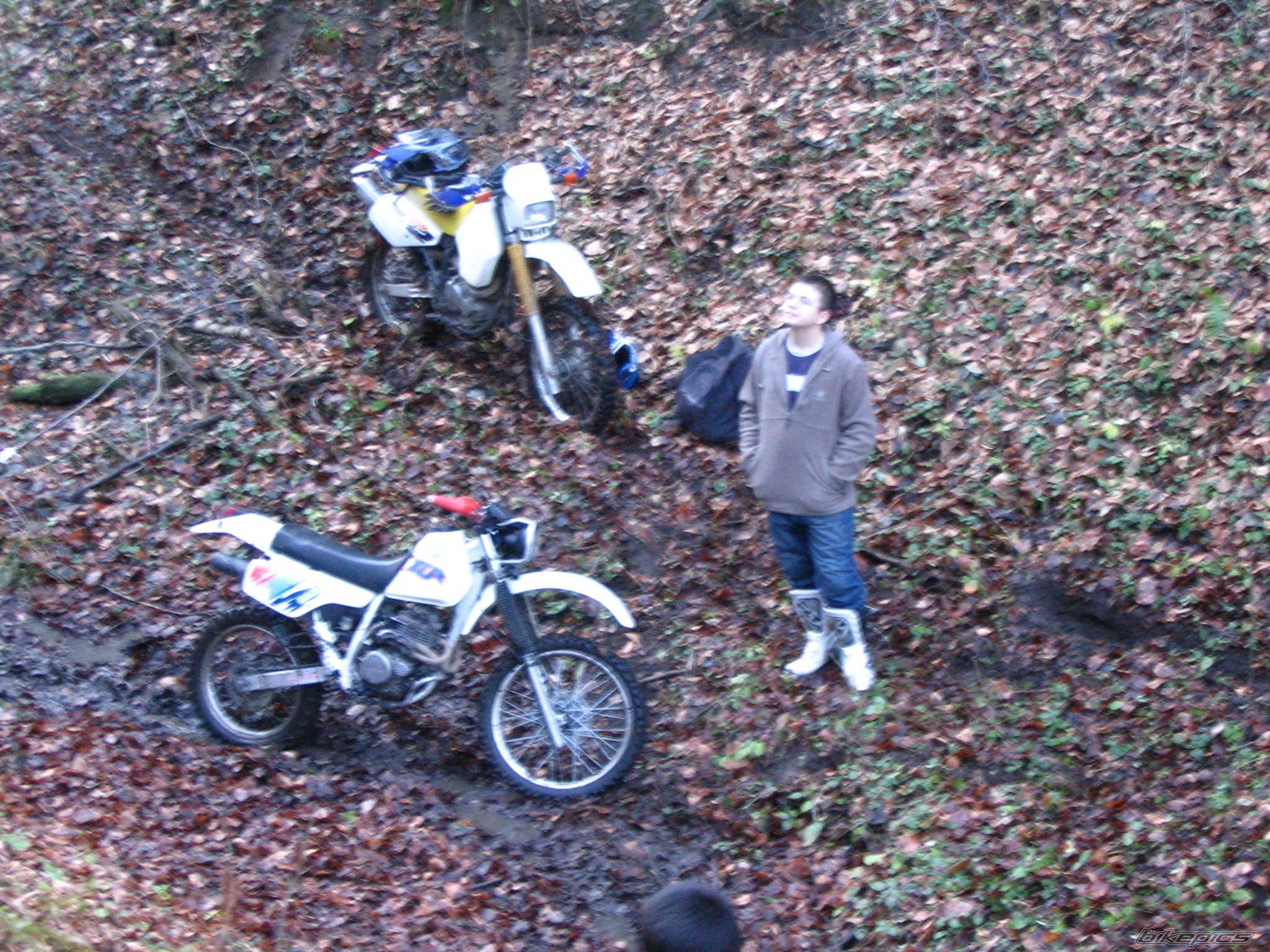 1993 SUZUKI DR 350 | Picture 742792 motorcycle photo