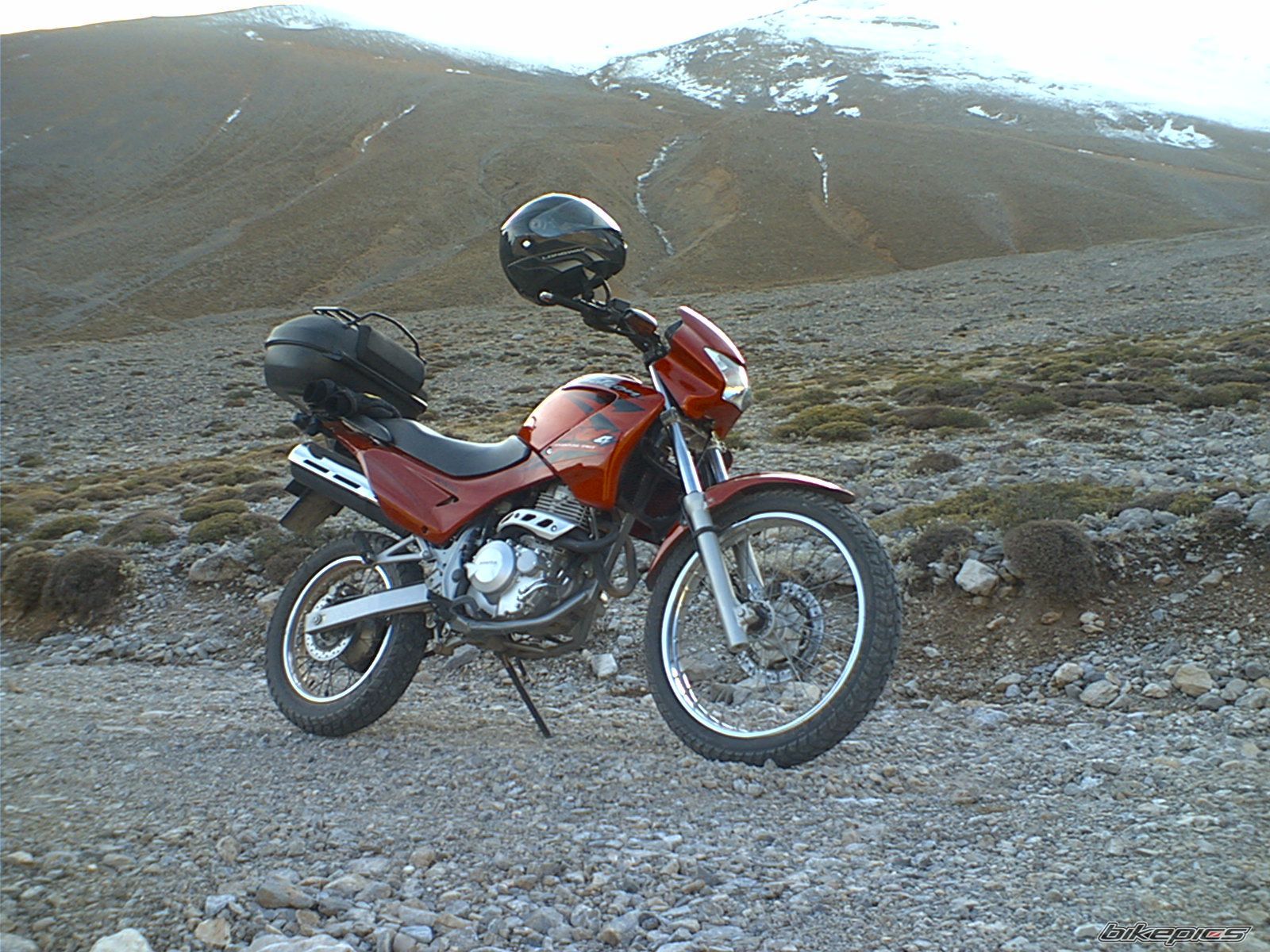 2004 HONDA NX 4 FALCON | Picture 742801 motorcycle photo
