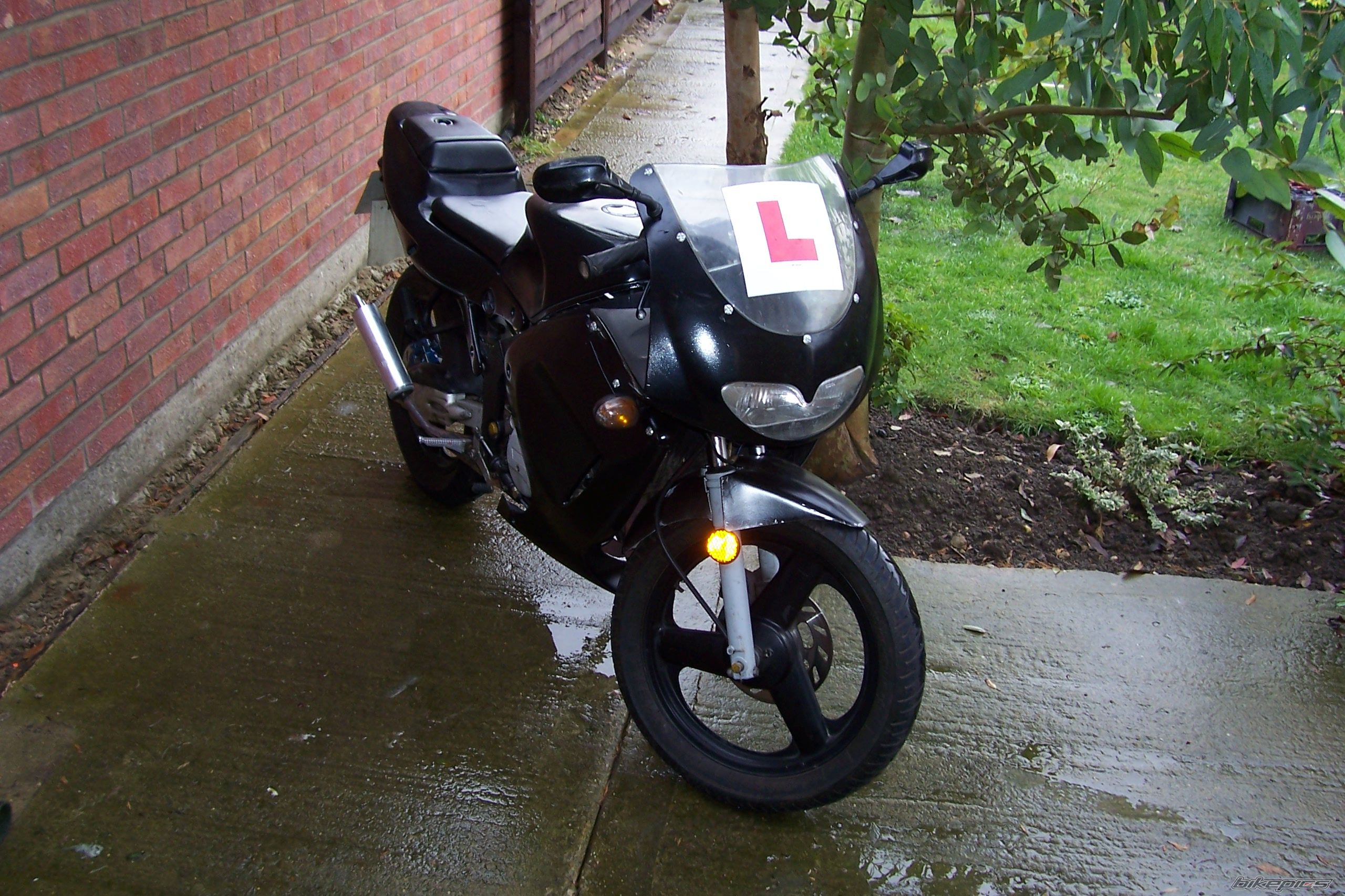 1998 RIEJU RS1 | Picture 742957 motorcycle photo