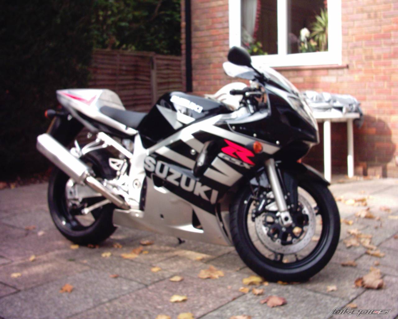 2003 SUZUKI GSX R 600 | Picture 74310 motorcycle photo