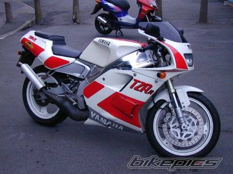 1992 YAMAHA TZR 125 | Picture 74313 motorcycle photo
