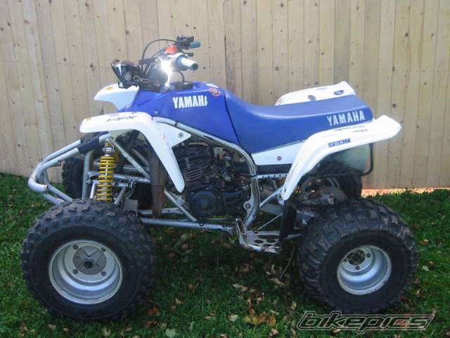 1998 YAMAHA BLASTER | Picture 74314 motorcycle photo