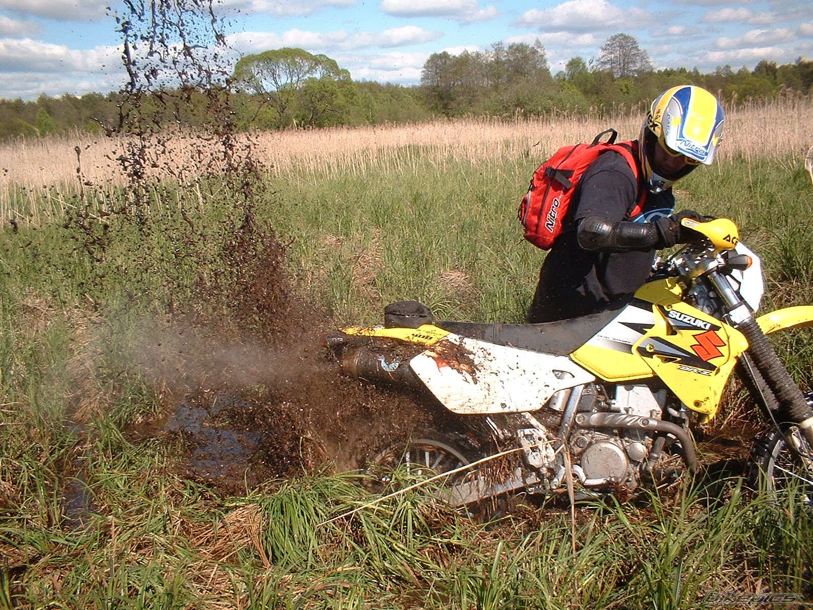 2001 SUZUKI DRZ 400 | Picture 743548 motorcycle photo