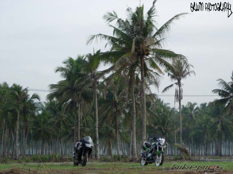 2001 KAWASAKI NINJA 150 | Picture 744857 motorcycle photo