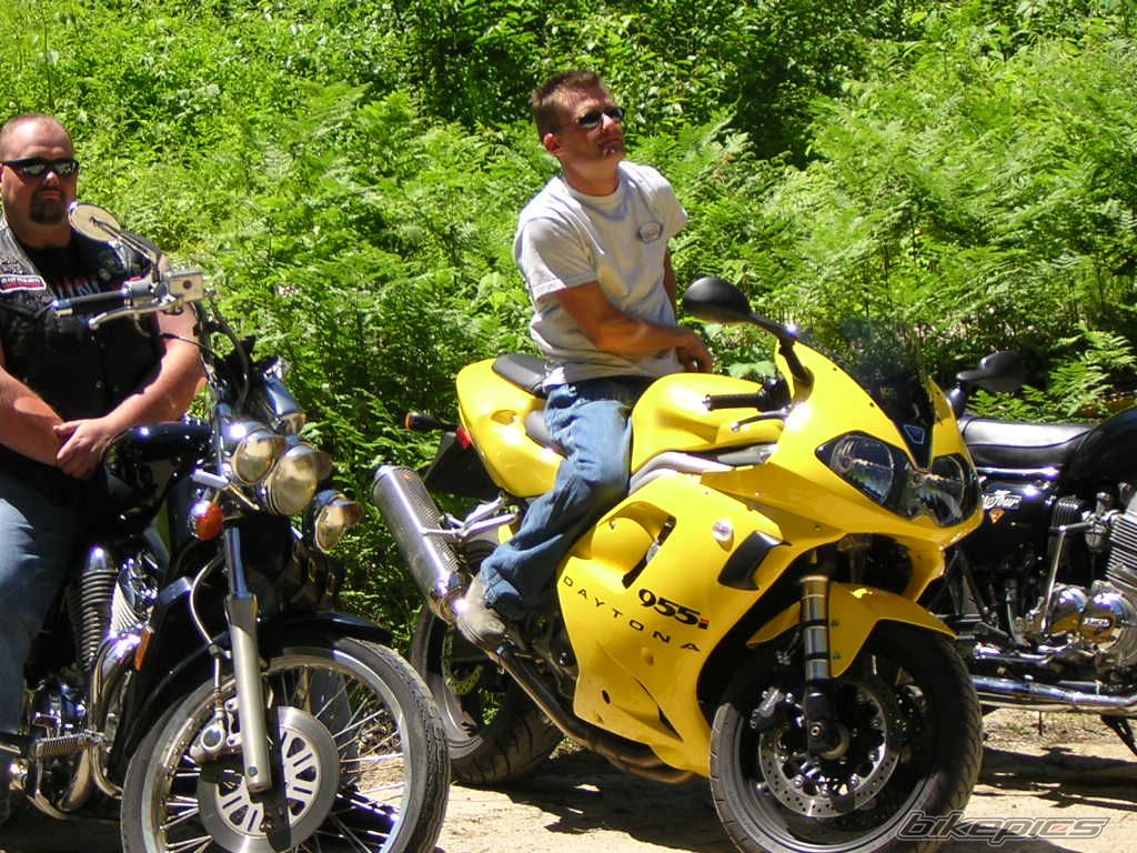 2002 TRIUMPH DAYTONA 955 | Picture 744923 motorcycle photo