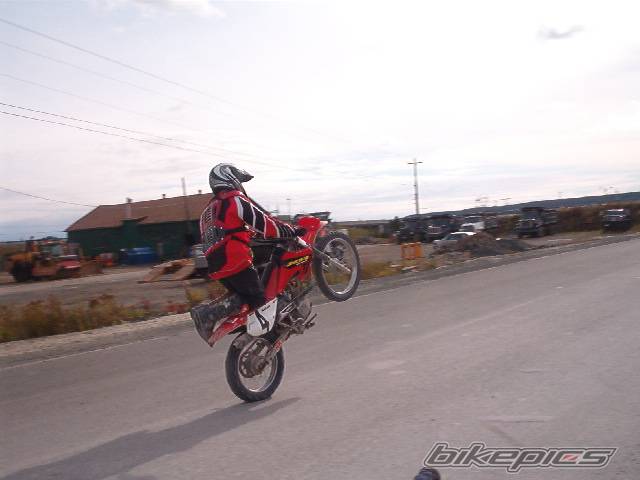 2002 HONDA XR 100 | Picture 74499 motorcycle photo