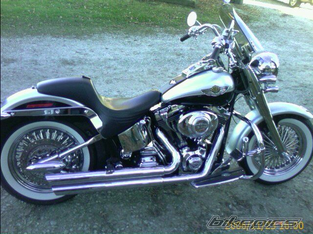 2003 HARLEY DAVIDSON FLSTF | Picture 745761 motorcycle photo