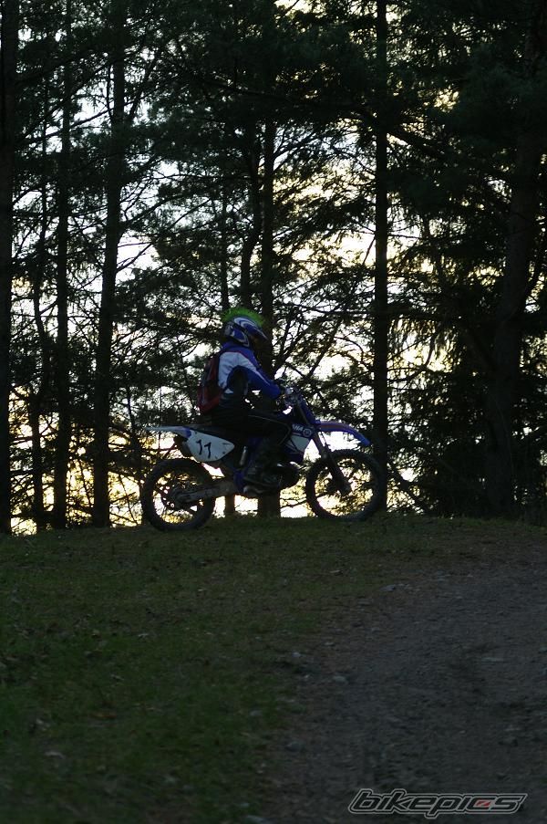2001 YAMAHA YZ 250 | Picture 746076 motorcycle photo