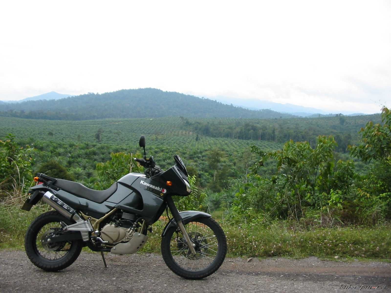 2006 KAWASAKI KLE 500 | Picture 746534 motorcycle photo