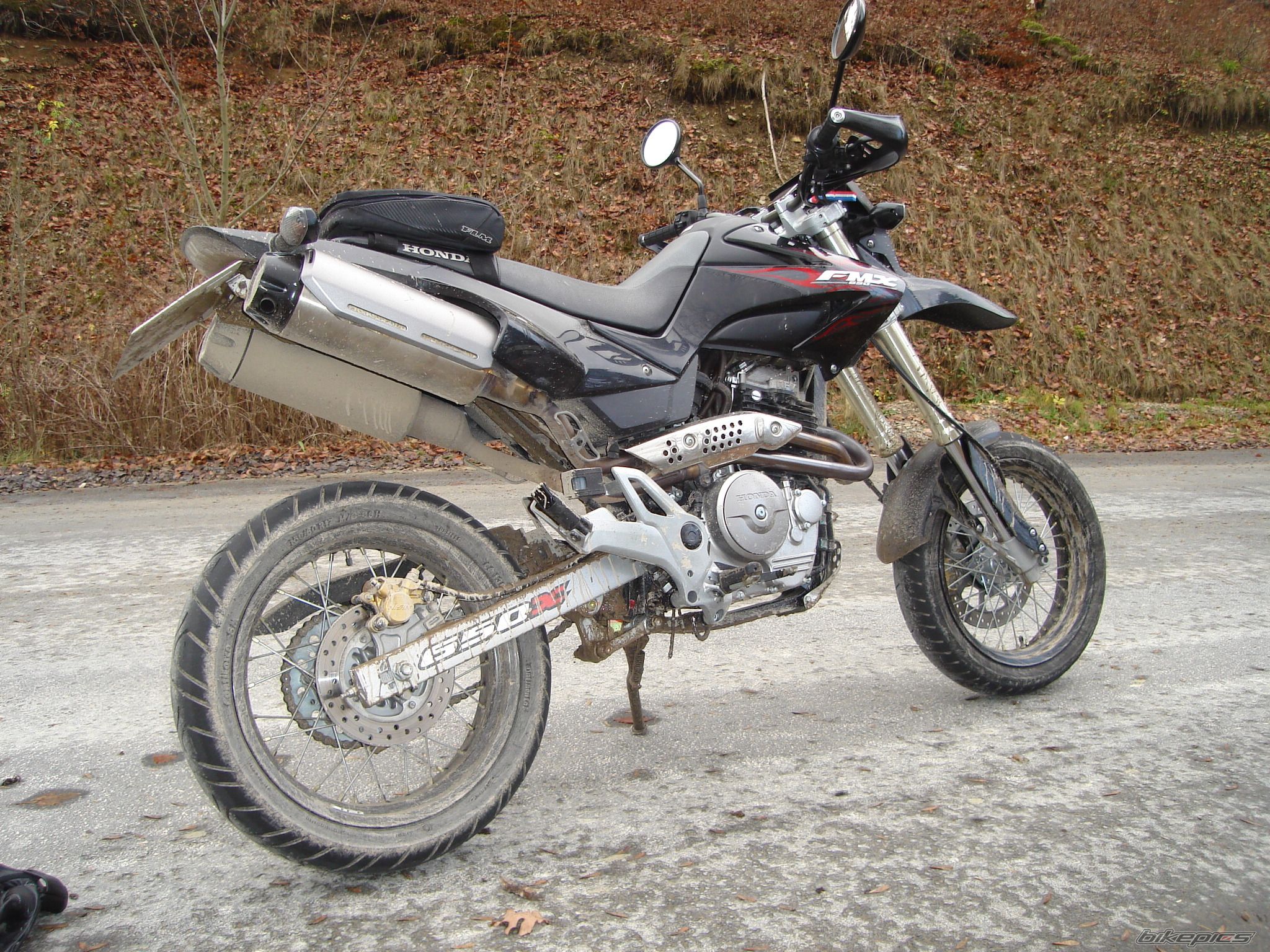 2005 HONDA FMX 650 FUNMOTO | Picture 747895 motorcycle photo