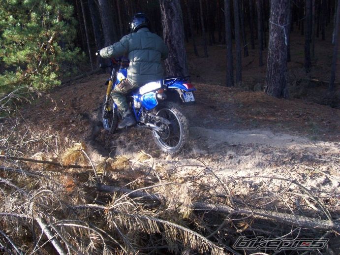 1991 YAMAHA DT 80 | Picture 747919 motorcycle photo