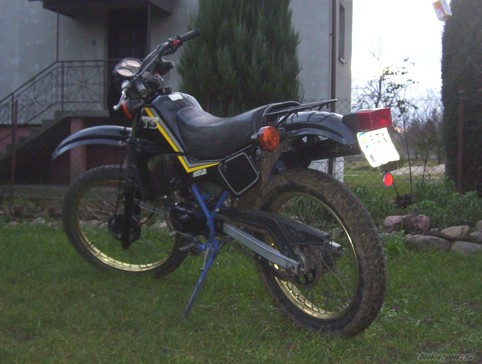 1993 SUZUKI TS 50 | Picture 748774 motorcycle photo