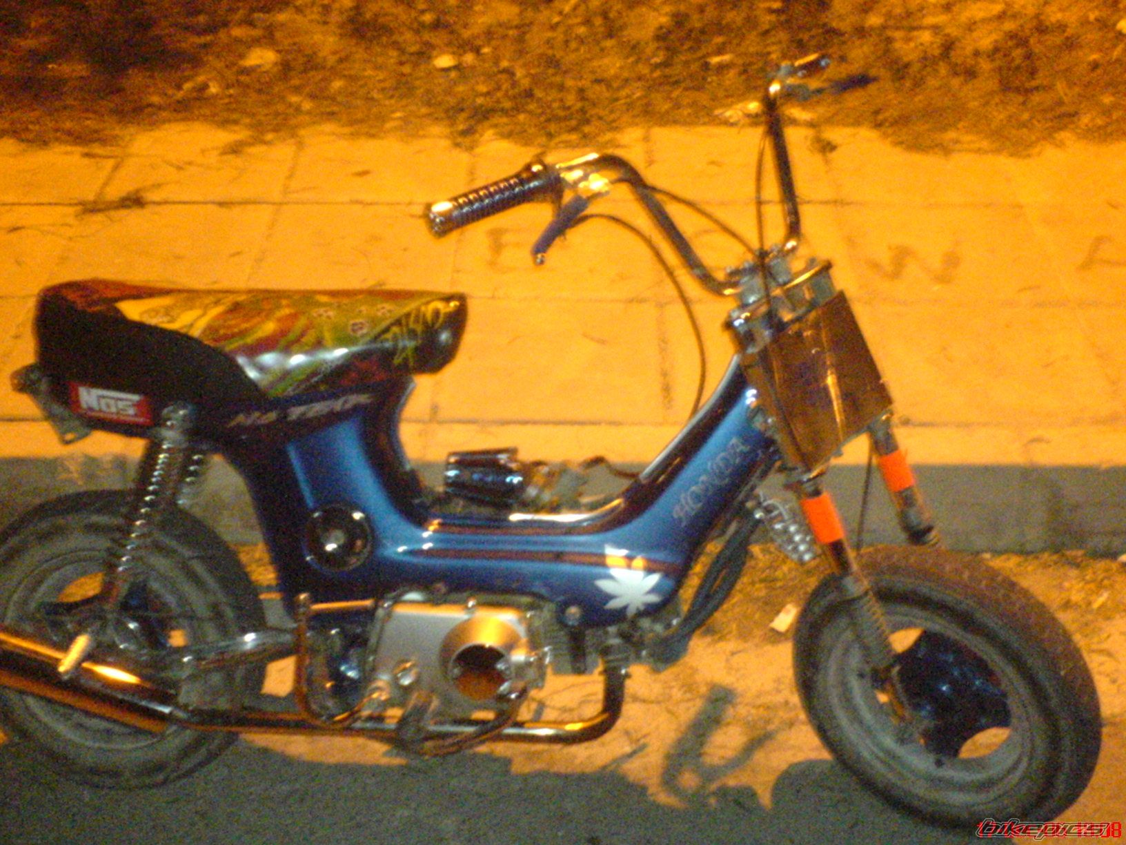 2006 HONDA CHALY | Picture 748865 motorcycle photo