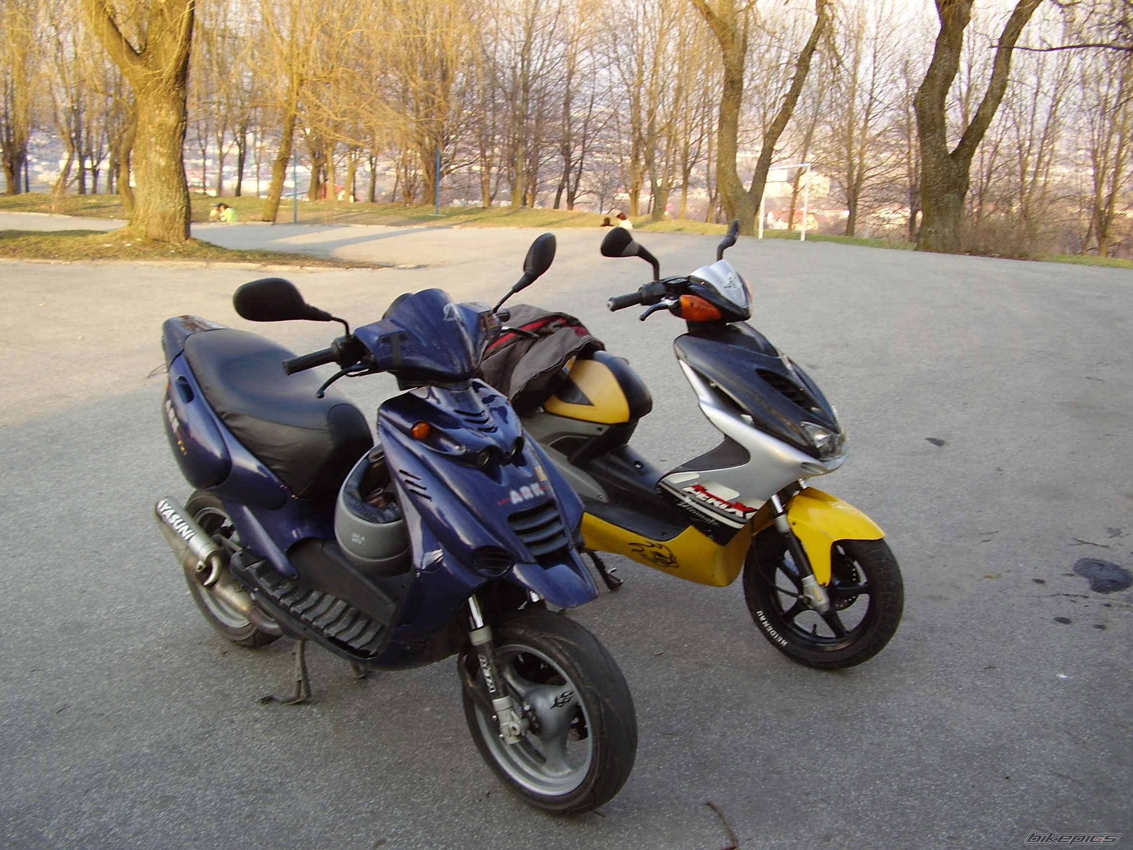 1998 BETA ARK 50 LC | Picture 749456 motorcycle photo