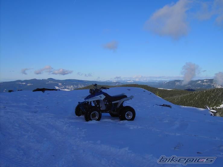 1999 YAMAHA WARRIOR | Picture 749915 motorcycle photo