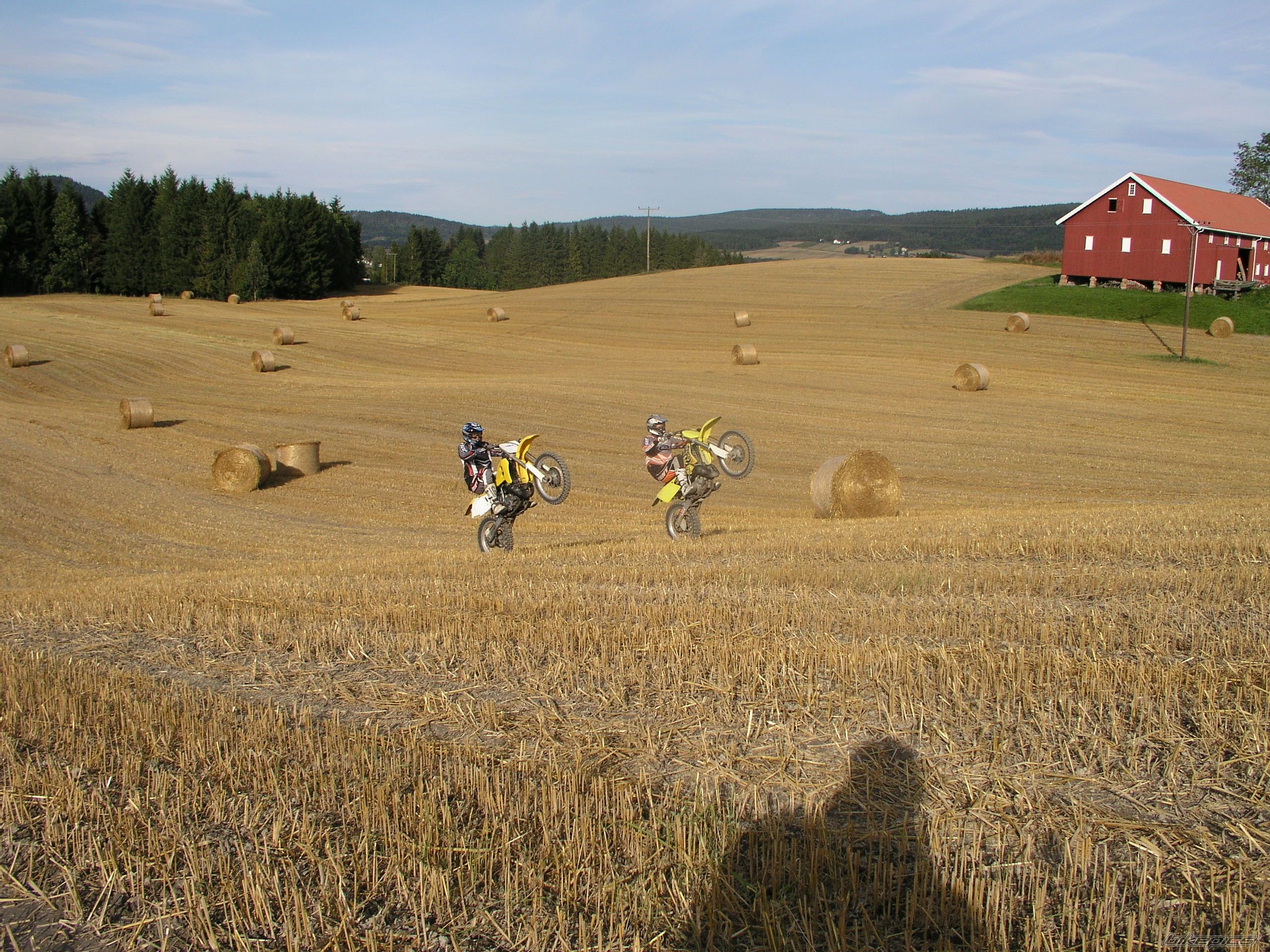 2002 SUZUKI RM 250 | Picture 749978 motorcycle photo