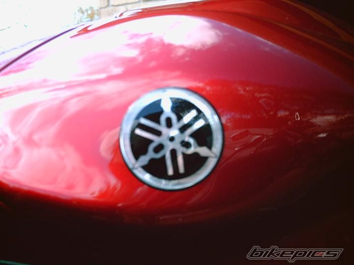 2007 YAMAHA YZF R6 | Picture 750788 motorcycle photo