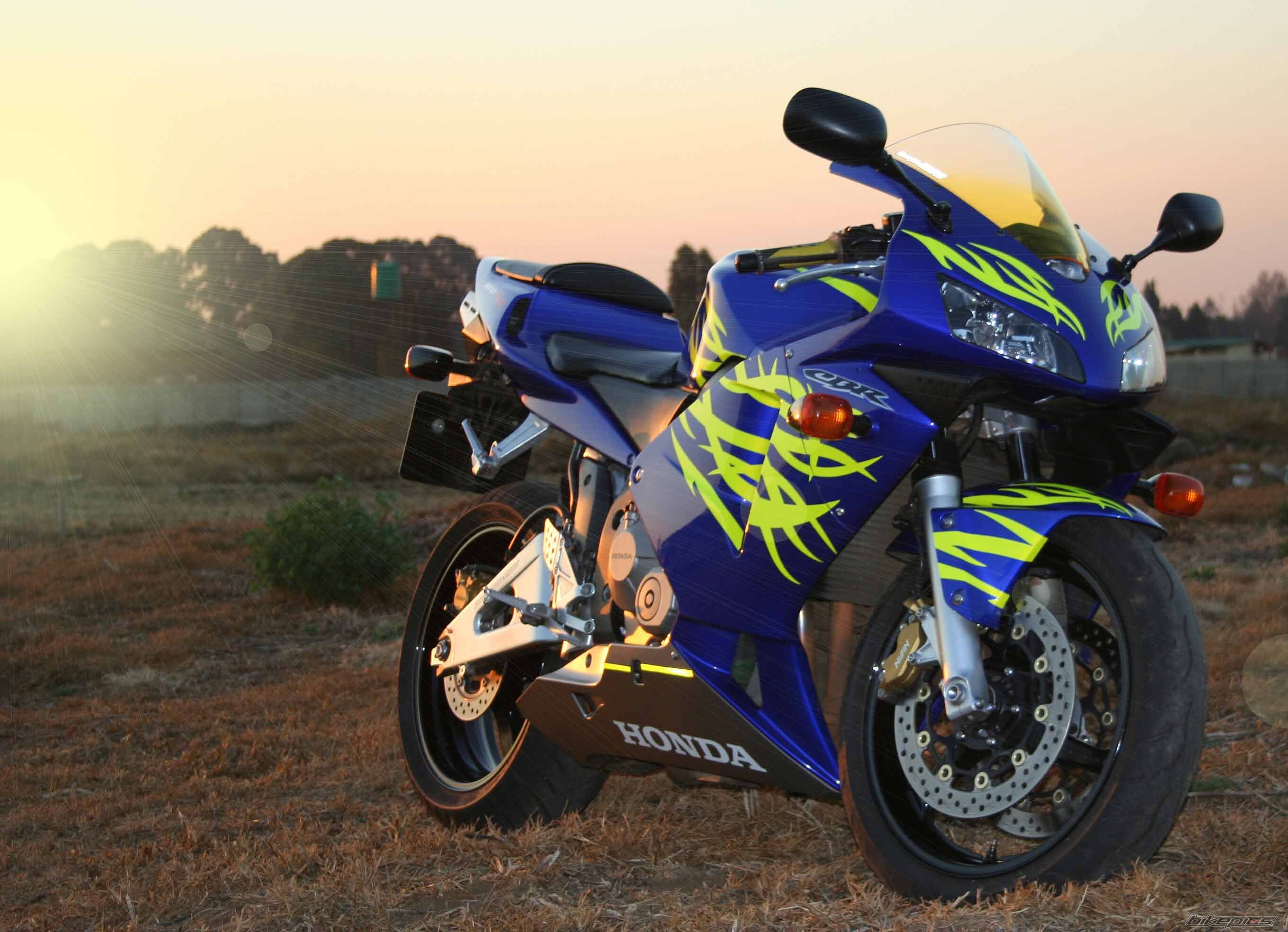 2004 HONDA CBR 600 RR | Picture 750998 motorcycle photo