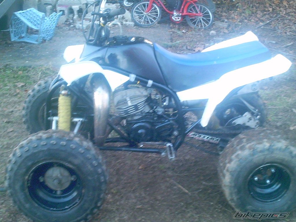 1998 YAMAHA BLASTER | Picture 751455 motorcycle photo
