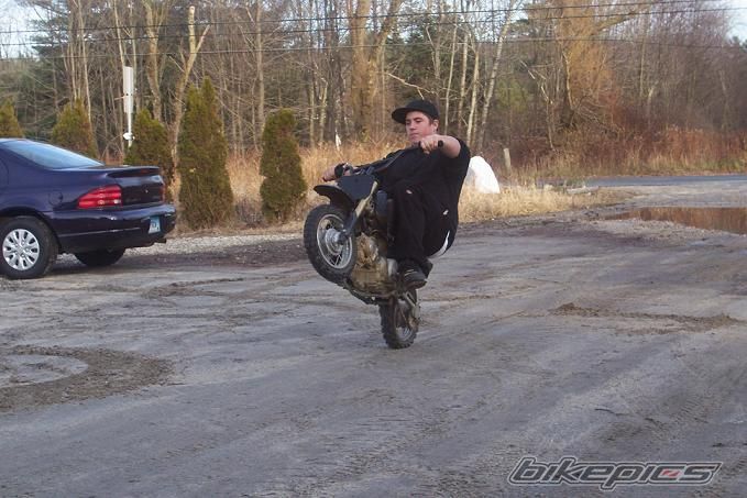 2005 HONDA CRF 50 | Picture 751456 motorcycle photo