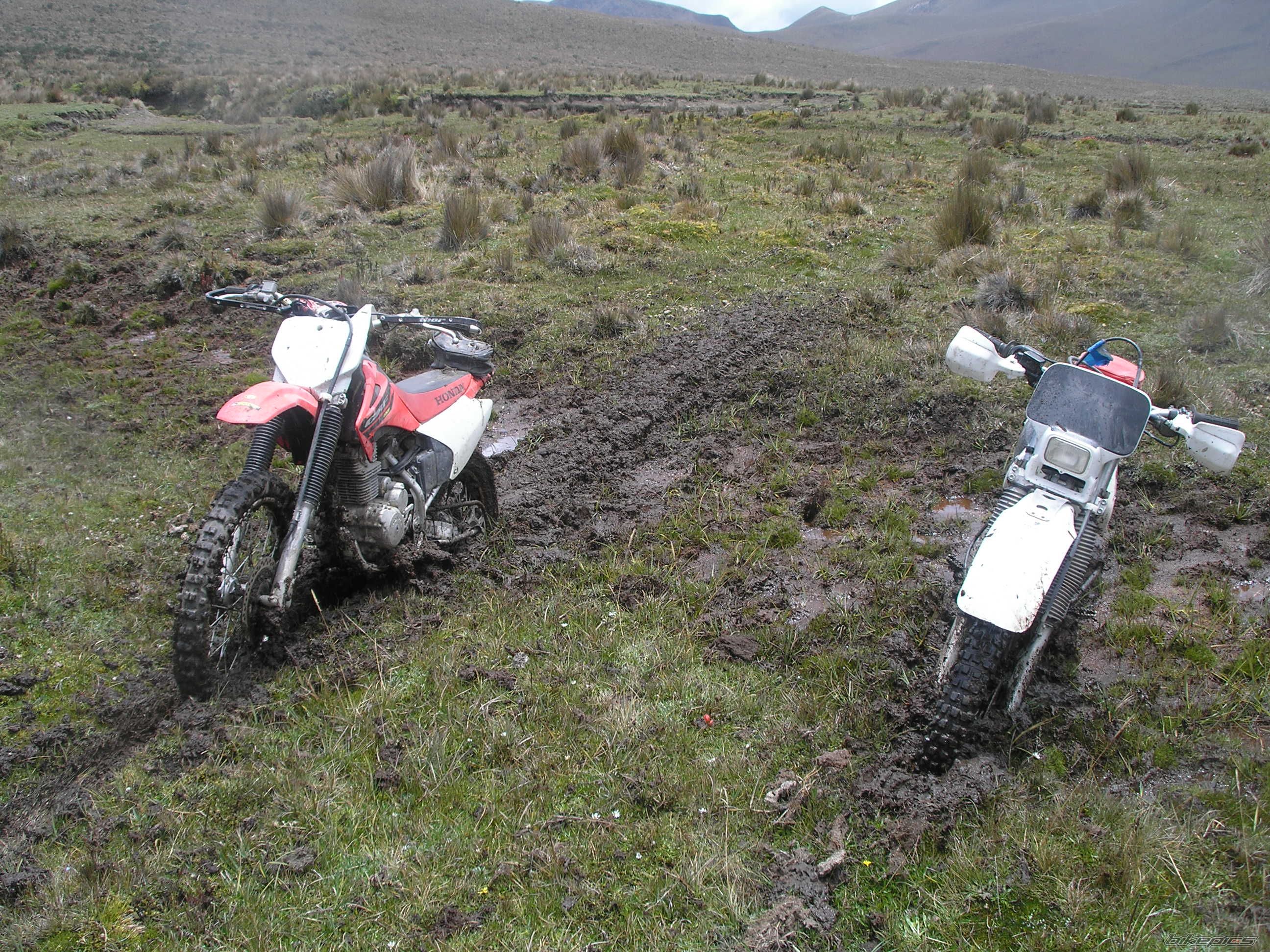 2004 HONDA CRF 230 | Picture 751666 motorcycle photo
