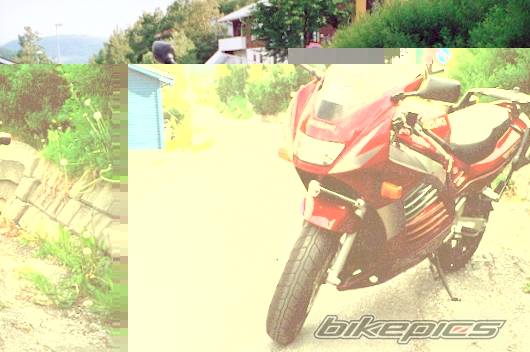 1999 SUZUKI RF 900 | Picture 7518 motorcycle photo