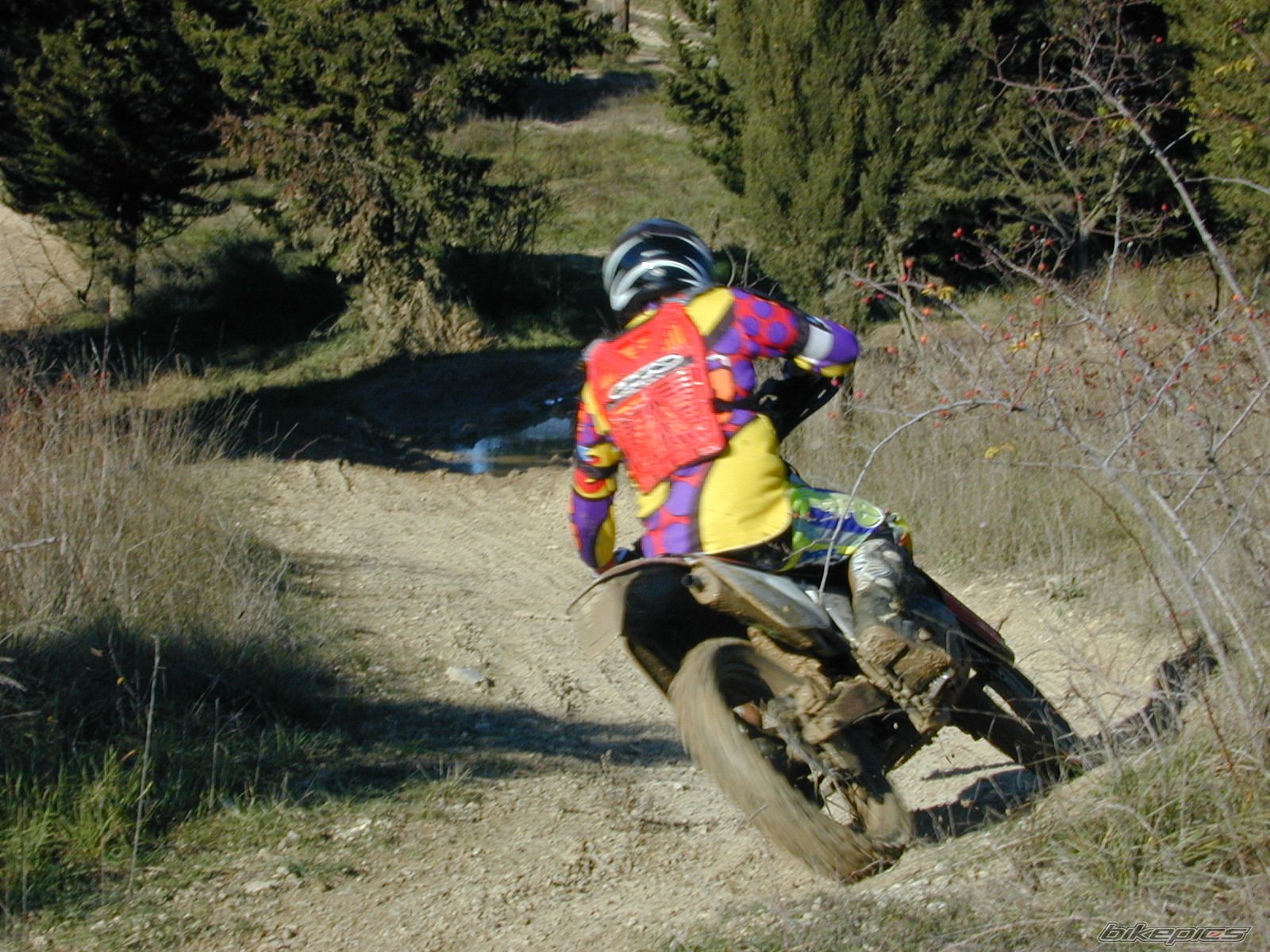 1998 HONDA CR 250 | Picture 752842 motorcycle photo