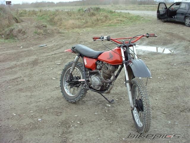 1977 HONDA CT 125 | Picture 753519 motorcycle photo