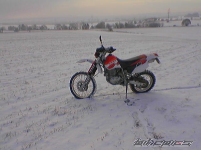 1999 YAMAHA TTR 600 | Picture 753682 motorcycle photo