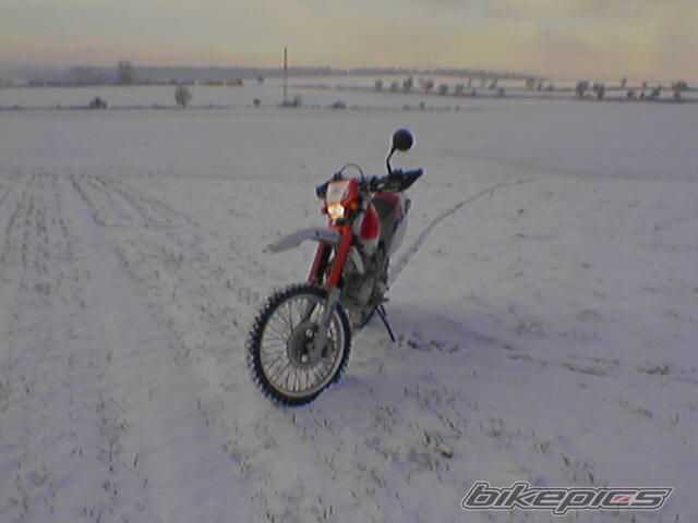 1999 YAMAHA TTR 600 | Picture 753683 motorcycle photo