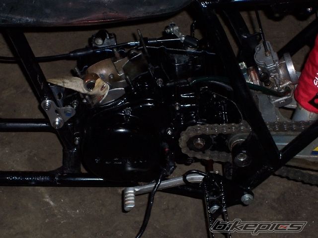 1986 SUZUKI QUADRACER 250 | Picture 753895 motorcycle photo