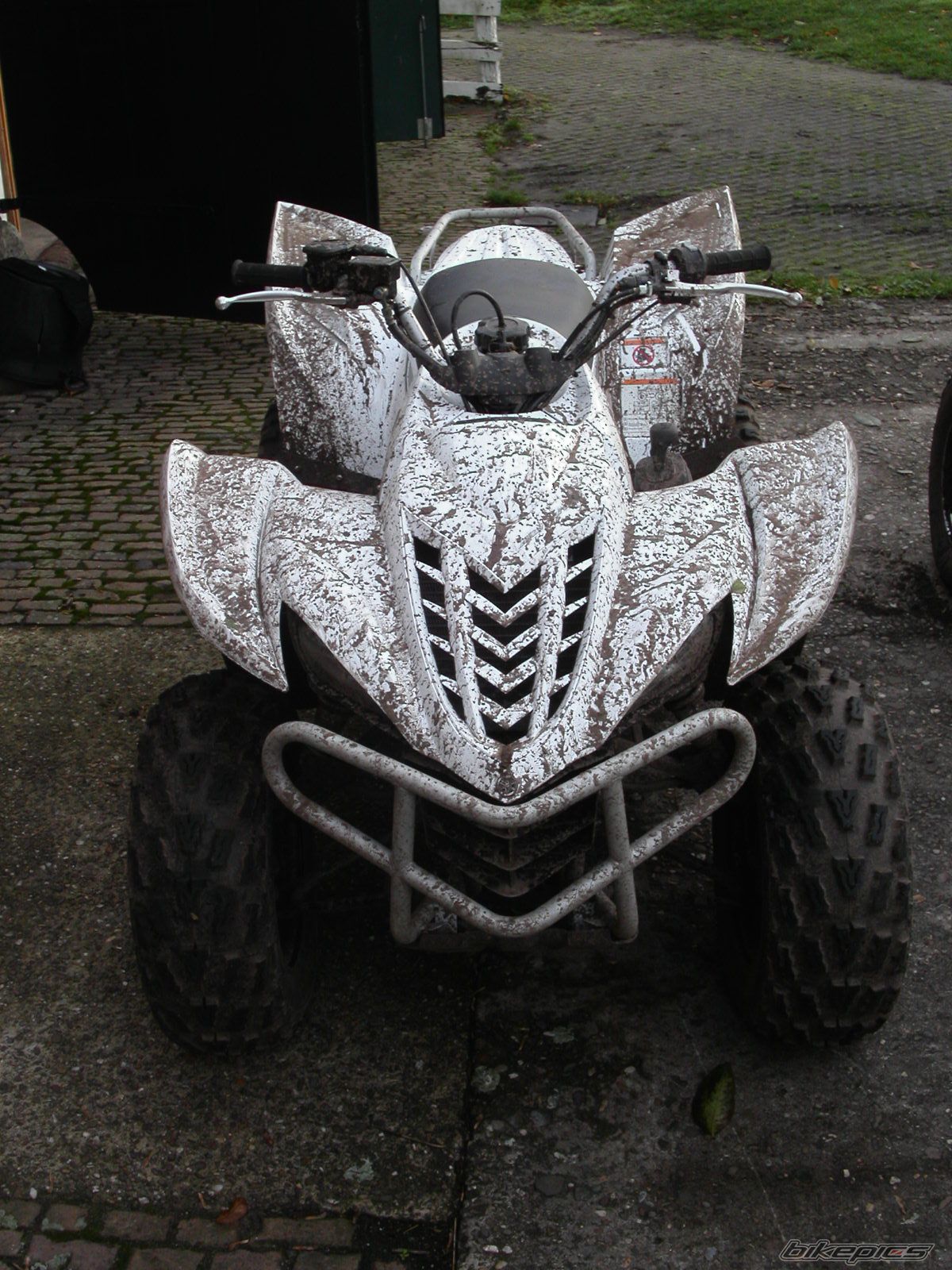 2006 YAMAHA WOLVERINE | Picture 754037 motorcycle photo