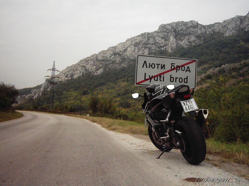 2006 SUZUKI GSX R 1000 | Picture 754424 motorcycle photo