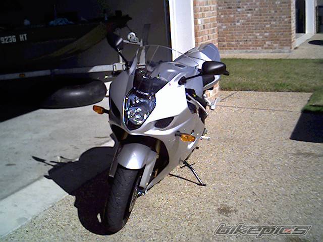 2003 SUZUKI GSX R 1000 | Picture 75481 motorcycle photo