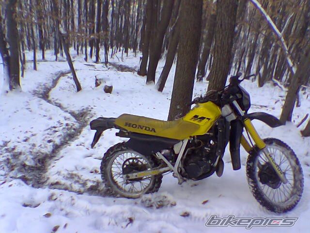 1990 HONDA MTX 125 | Picture 755398 motorcycle photo
