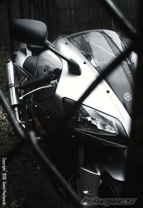 2003 YAMAHA YZF R1 | Picture 756146 motorcycle photo
