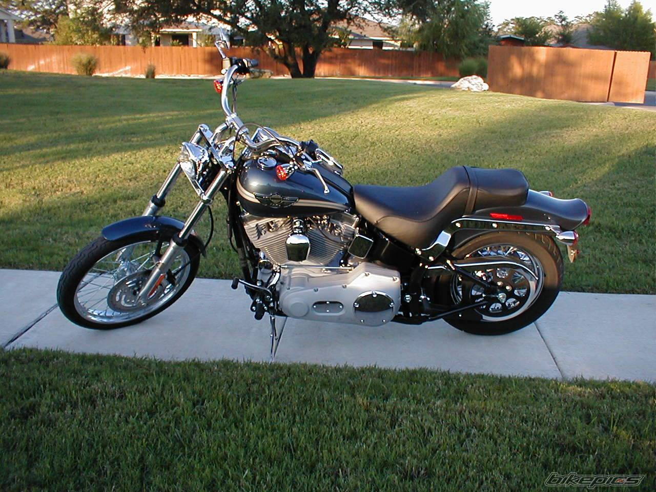 2003 HARLEY DAVIDSON FXST | Picture 75647 motorcycle photo