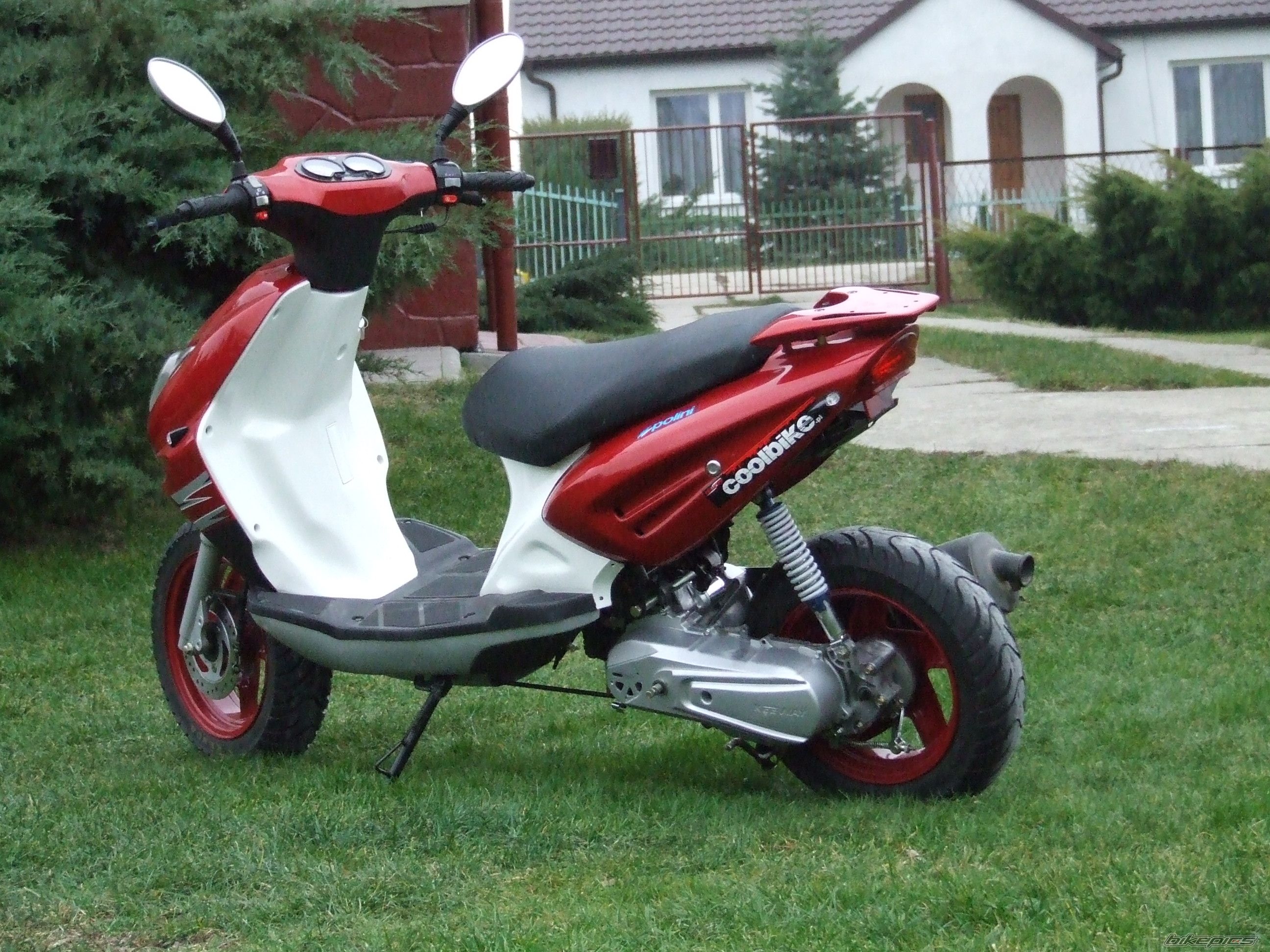2006 KEEWAY FOCUS TEAM | Picture 756656 motorcycle photo