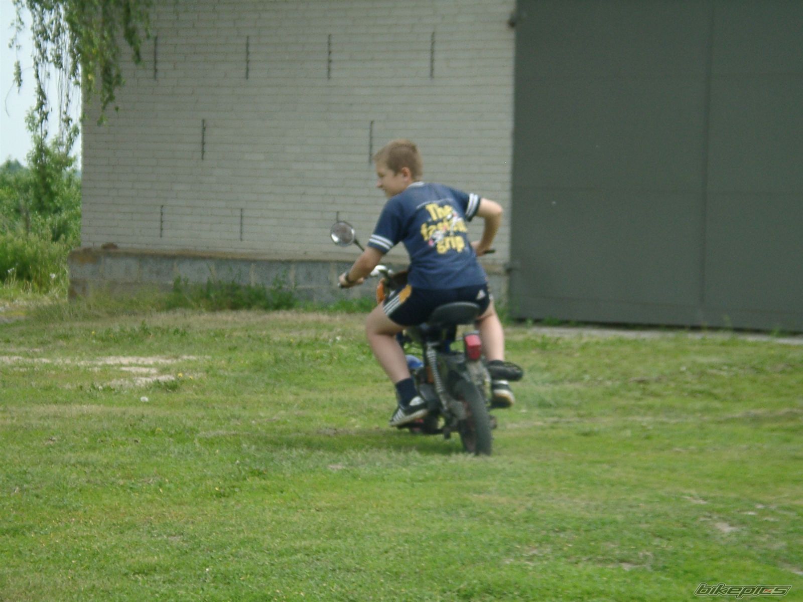 1988 ROMET PONY 50 | Picture 756983 motorcycle photo
