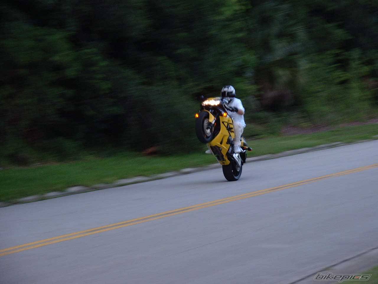 2001 HONDA CBR 900 | Picture 7583 motorcycle photo