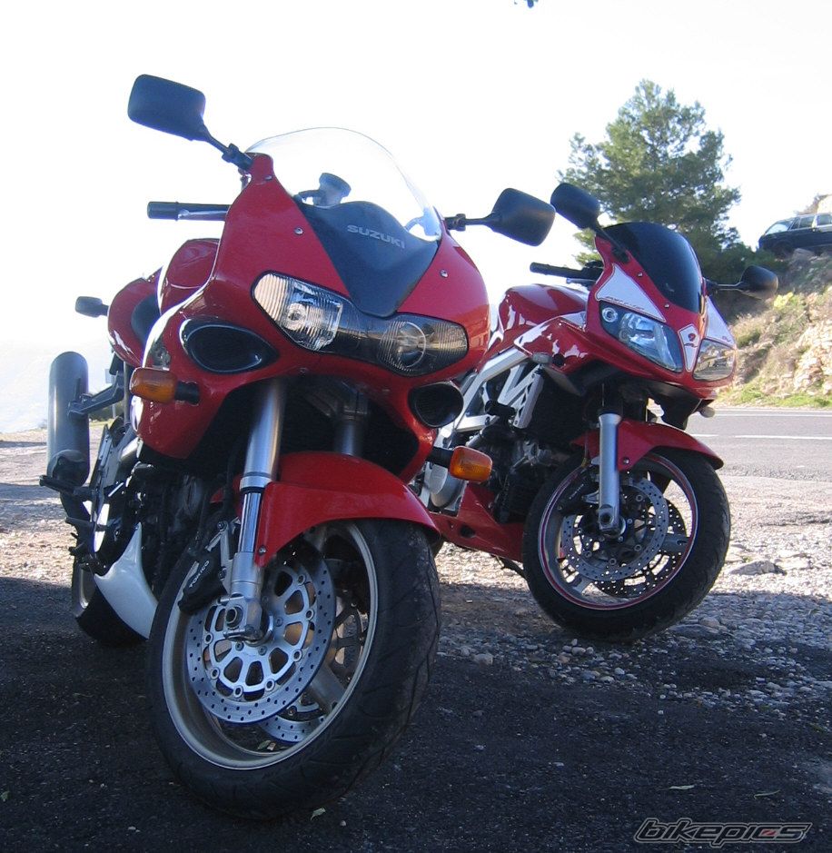 2004 SUZUKI SV 1000 S | Picture 758726 motorcycle photo